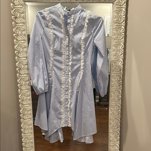 The Shirt by Rochelle Behrens Dresses & Skirts - The Shirt by Rochelle Behrens Blue and White Striped Asymmetrical Tunic Dress